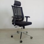 Reclining High Back Orthopedic/Ergonomic Office Chair