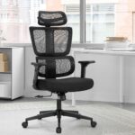 Reclining Orthopedic Office Chair