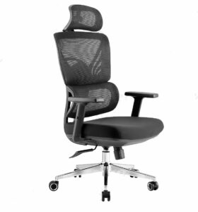 Ergonomic Executive Office Chair