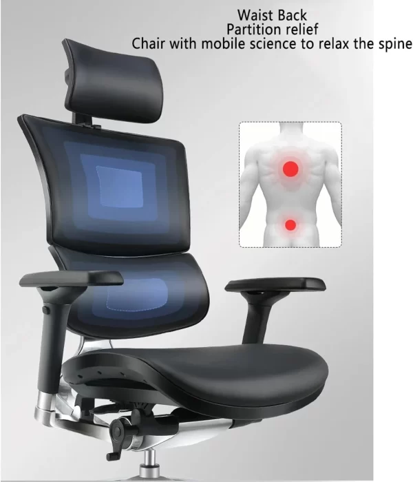 Ergonomic Orthopedic Leather Executive Office Chair