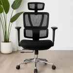 FUJI D97 Mesh Ergonomic Office Chair